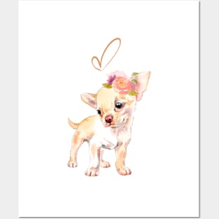 Baby Girl Chihuahua Puppy Posters and Art